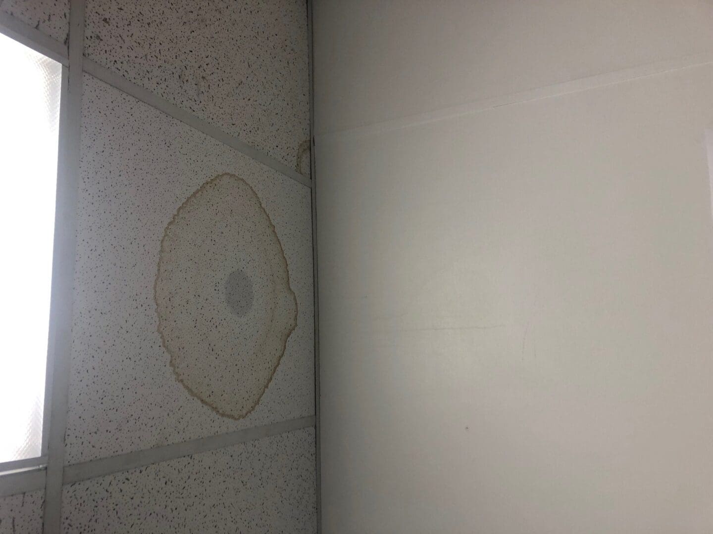 A ceiling fan that is hanging from the side of a wall.