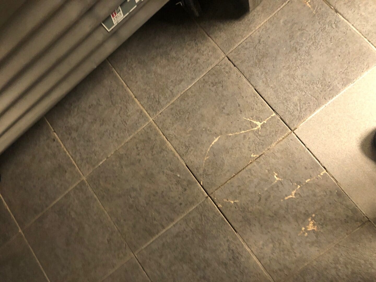 A cat sitting on the floor next to a radiator.