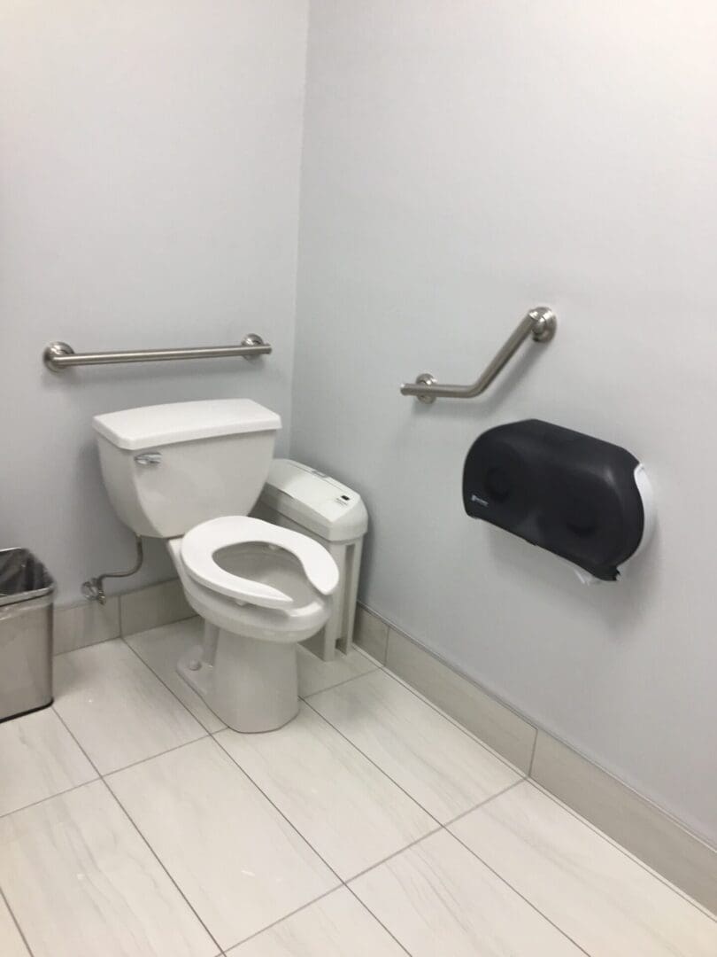 A bathroom with toilet and hand rails in it