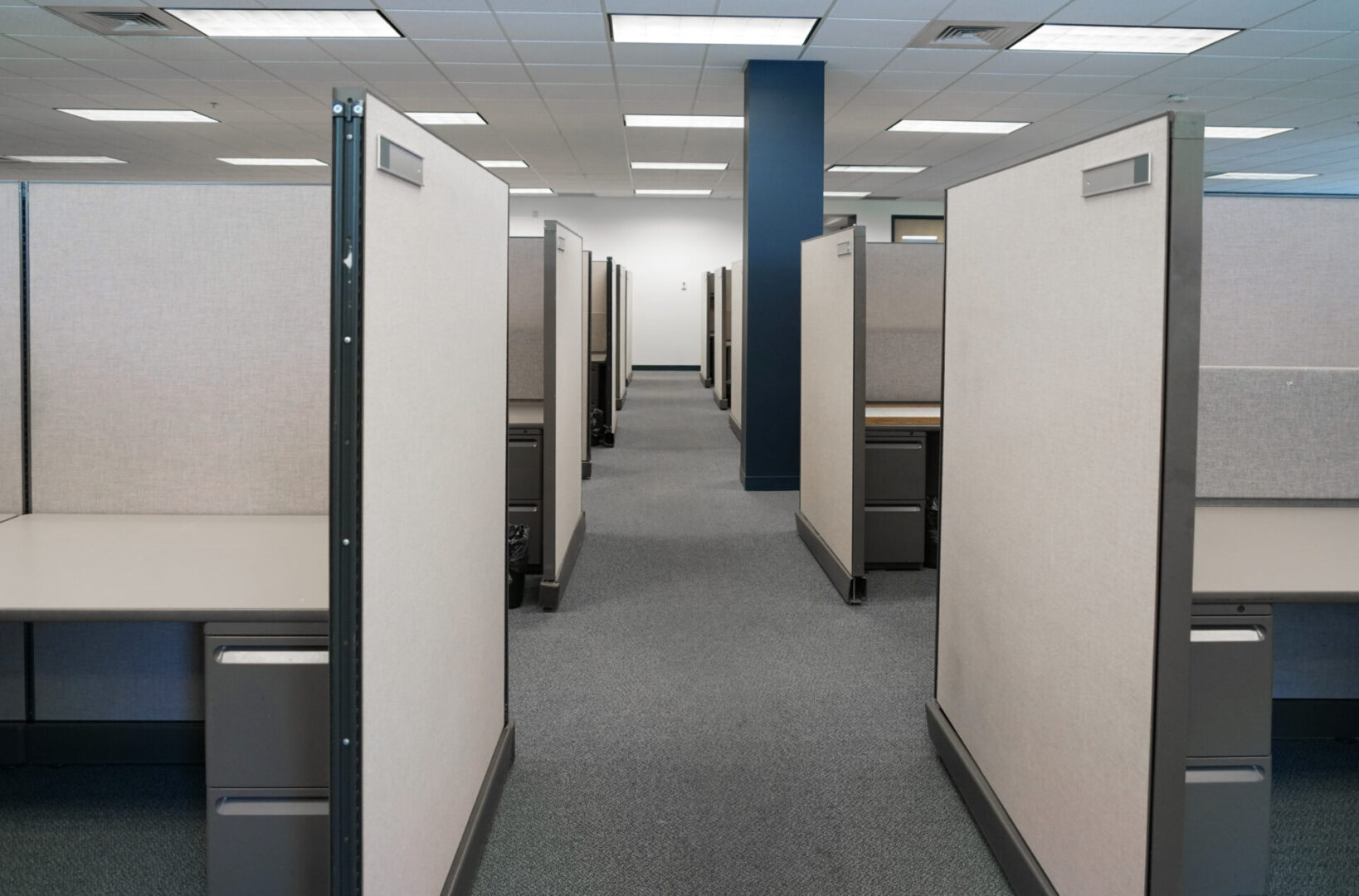 A row of cubicles in an office building.