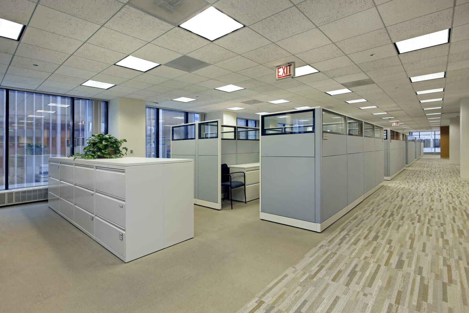 A clean office with cubicles and a plant.