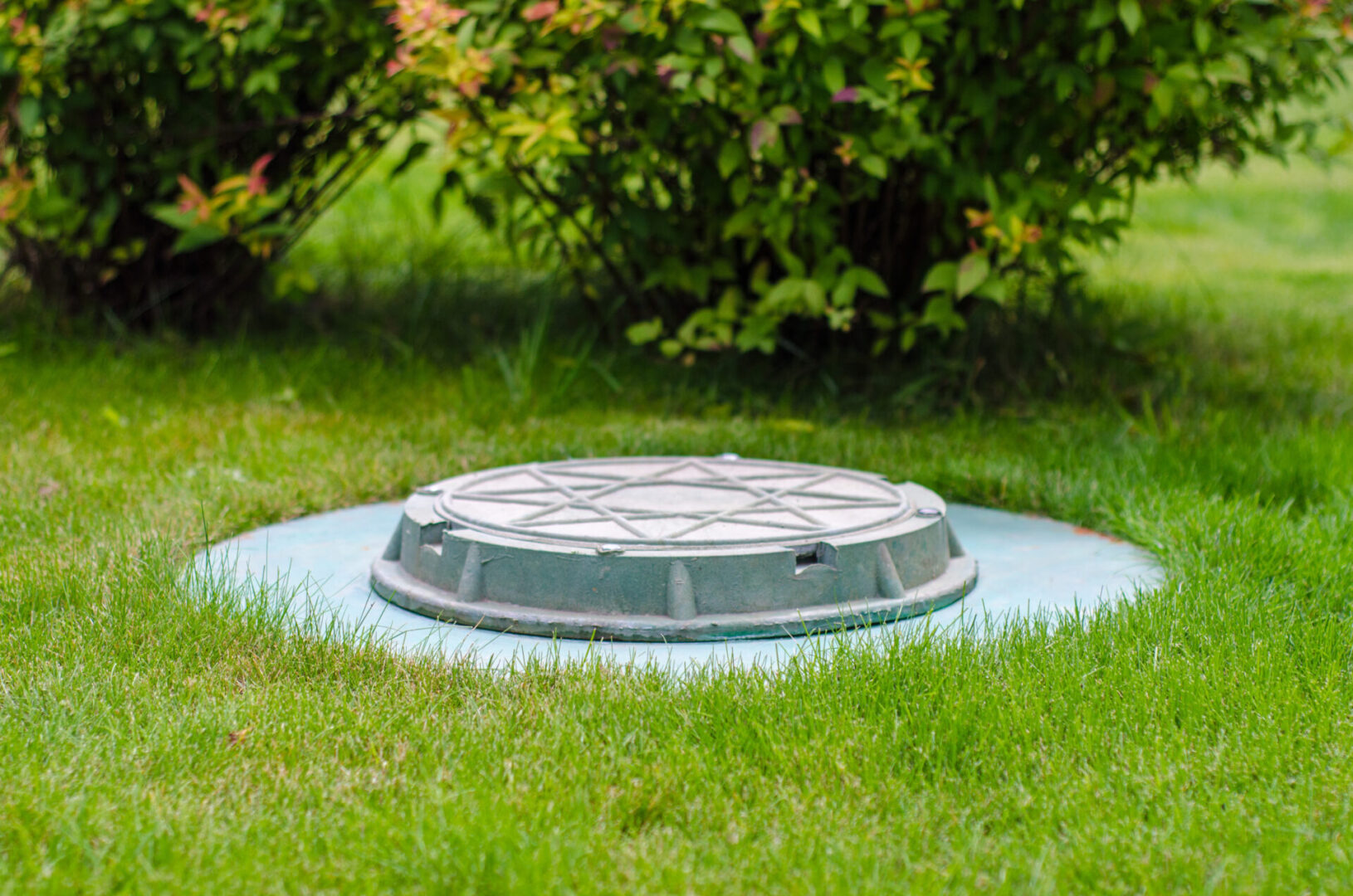 A manhole cover in the middle of a garden.